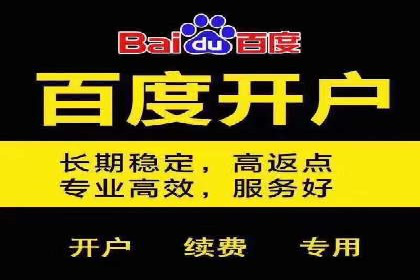 企业如何选择合适的百度推广预算？案例解读